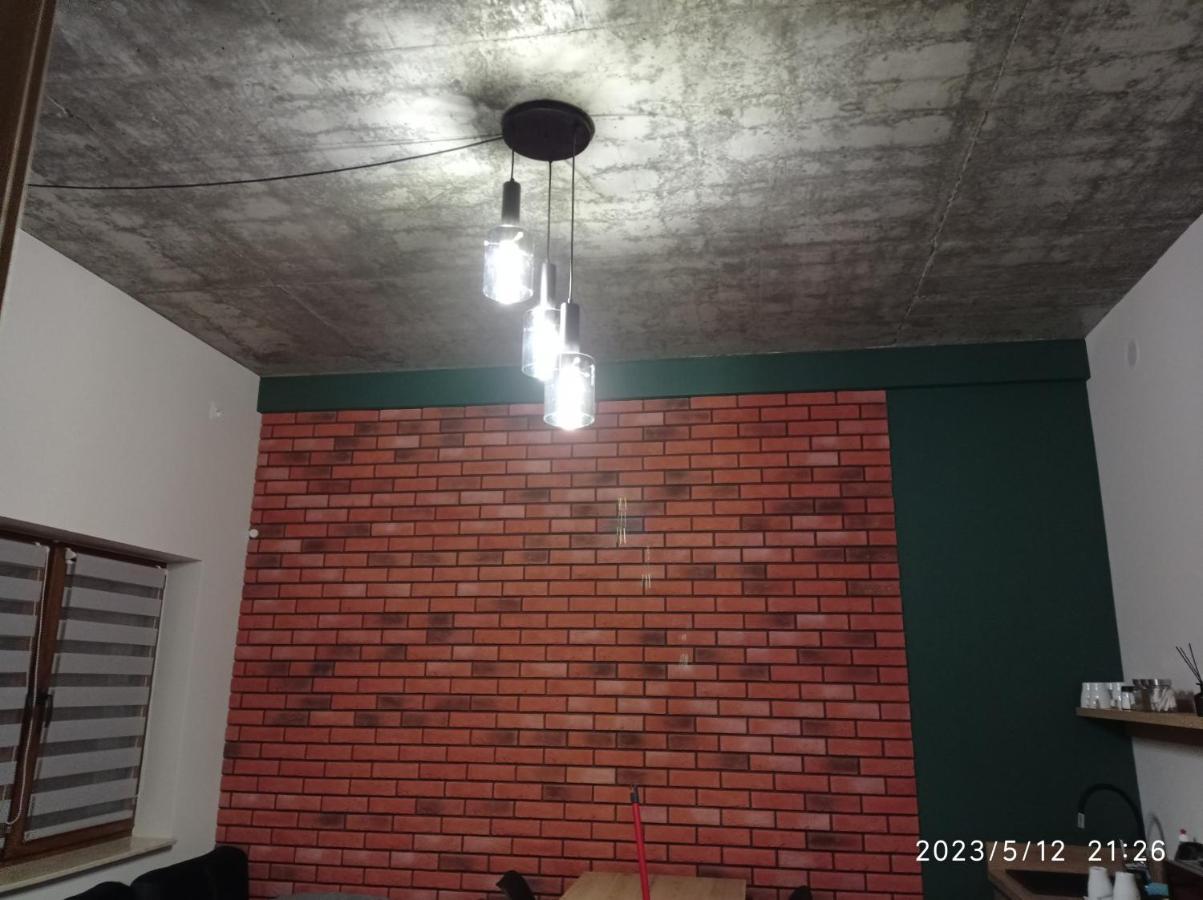 Loft Park Zator, Lokalizacja Przy Wej Parku Villa Exterior photo